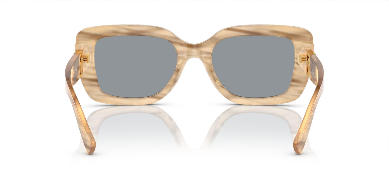610687 - Brown - Acqua Green