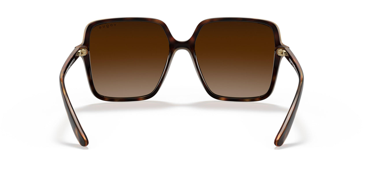 W65613 - Havana - Brown Gradient