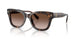 196413 - Tortoise - Brown Gradient