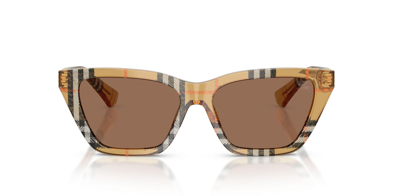 416373 - Brown - Dark Brown