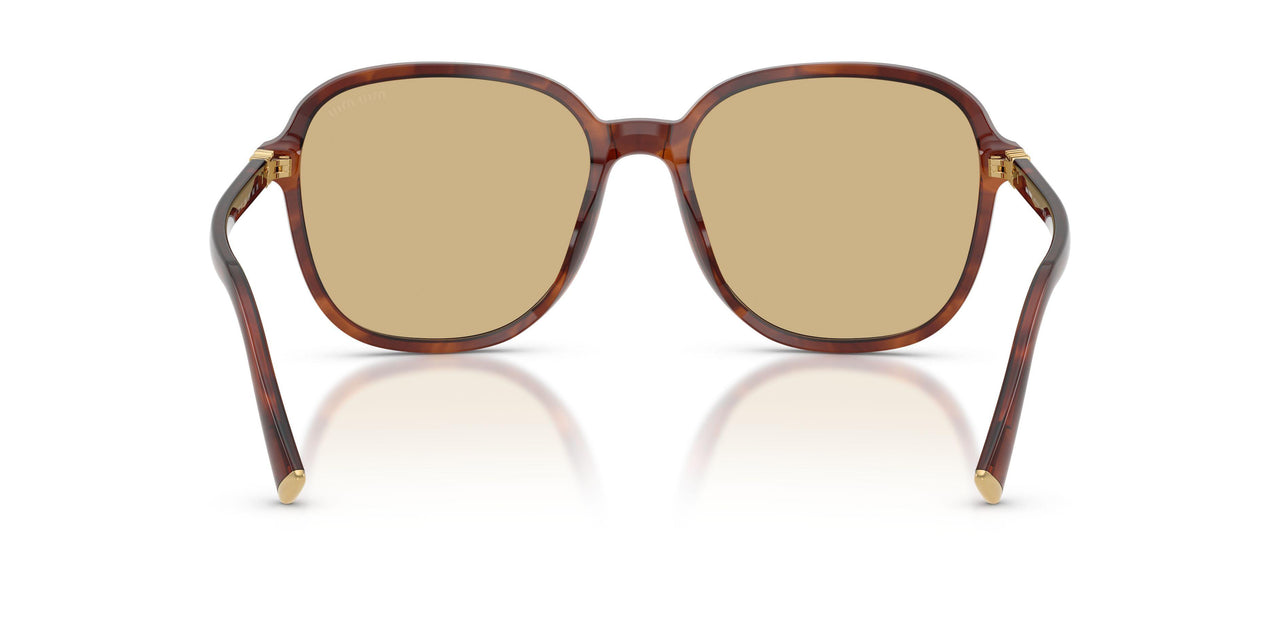 26E10R - Brown - Yellow