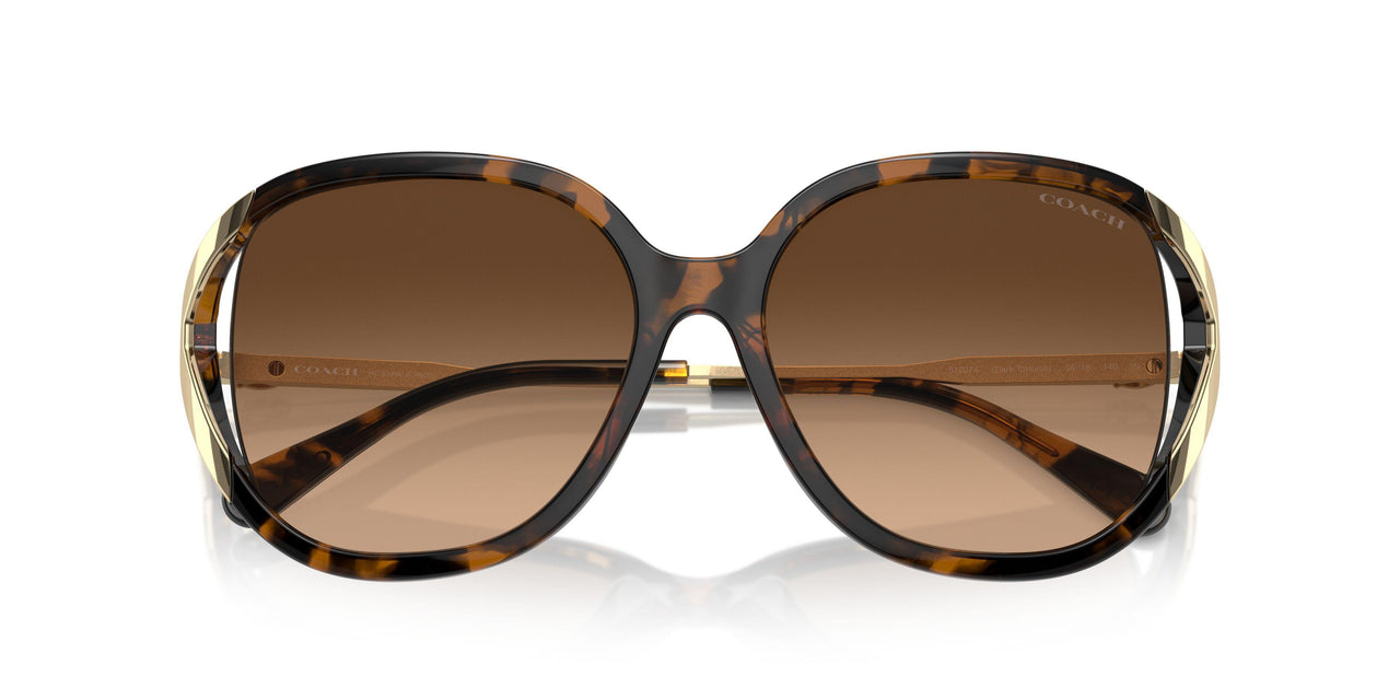 512074 - Tortoise - Brown Gradient