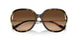 512074 - Tortoise - Brown Gradient
