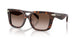 403113 - Tortoise - Smoke Gradient