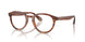 6162 - Tortoise