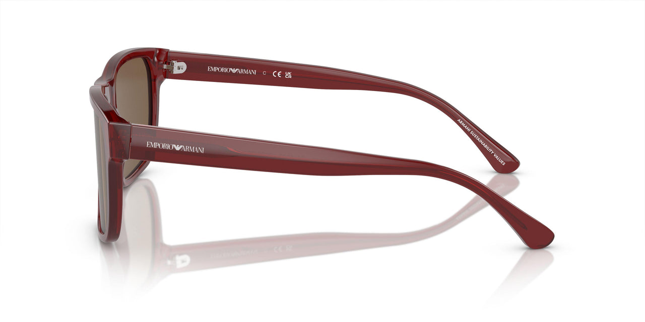 507573 - Red - Dark Brown