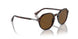 24/57 - Havana - Polar Brown