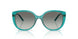 319111 - Green - Grey Gradient