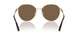 300673 - Gold - Dark Brown
