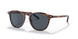 500787 - Havana - Dark Grey