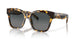 201602 - Tortoise - Gray Gradient