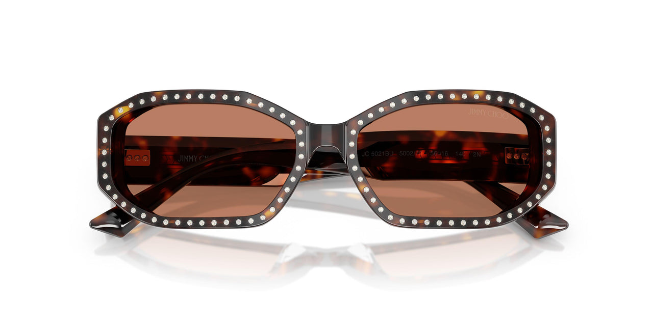 500273 - Tortoise - Brown