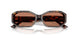 500273 - Tortoise - Brown