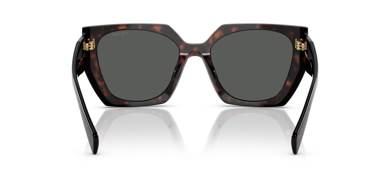24B40L - Tortoise - Dark Grey