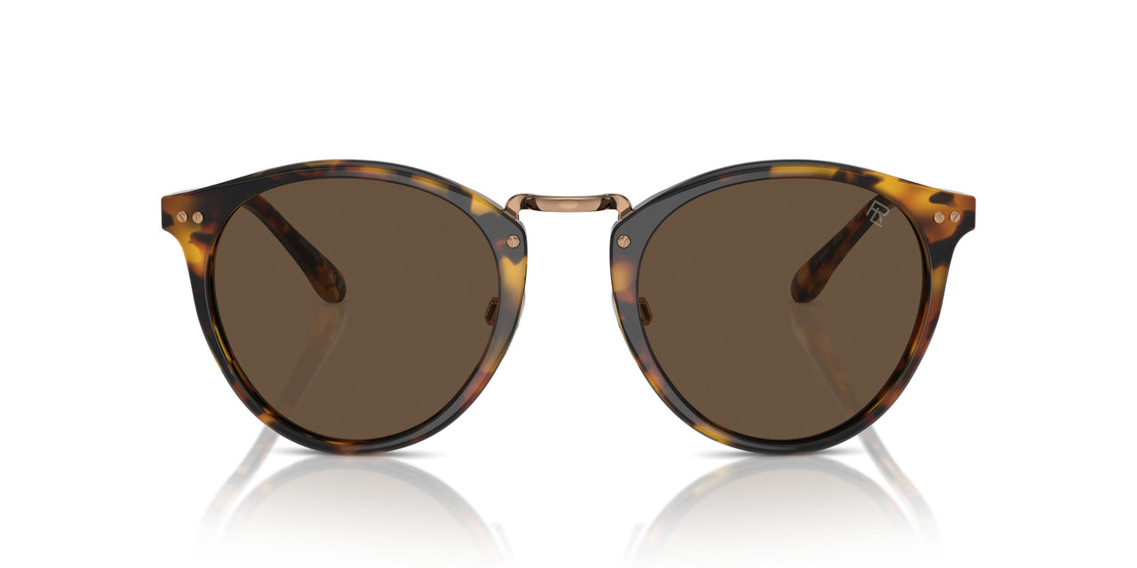 513453 - Tortoise - Brown