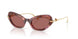 344469 - Tortoise - Dark Violet