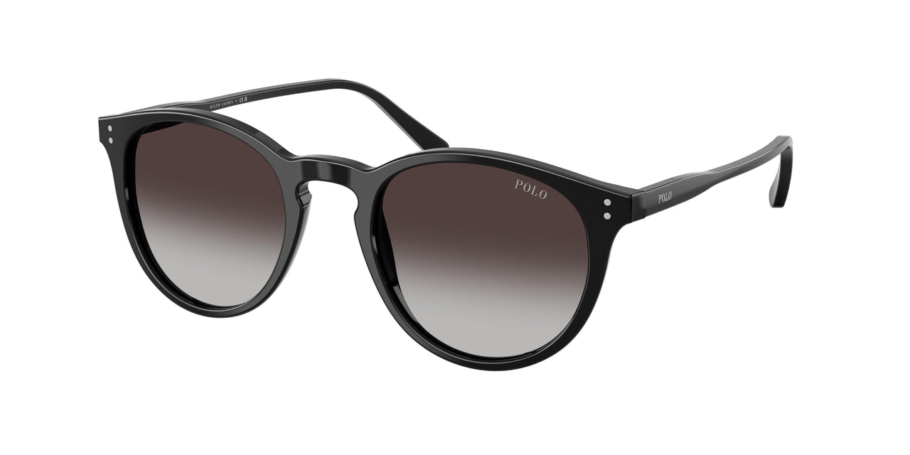 Polo 4110 Sunglasses