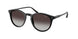 Polo 4110 Sunglasses