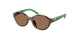 597473 - Tortoise - Dark Brown
