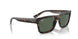 135971 - Tortoise - Dark Blue