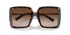 80153B - Tortoise - Brown Gradient