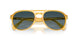 120148 - Smoke/Dark Grey Polarized