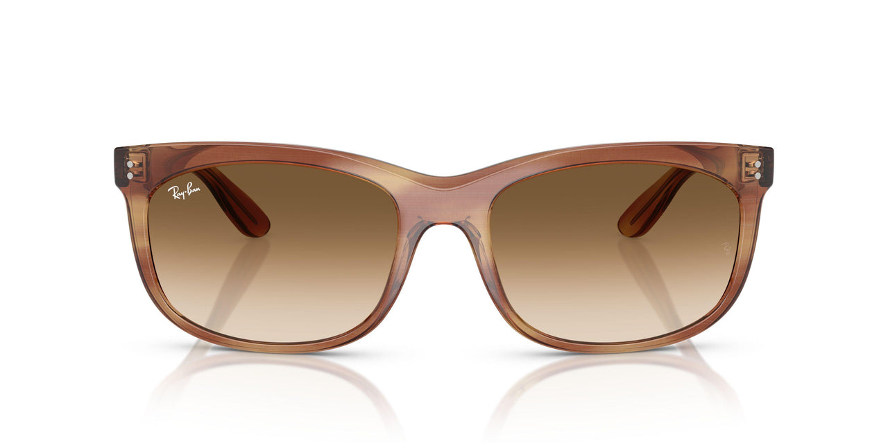 140351 - Tortoise - Clear Gradient Brown