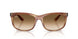 140351 - Tortoise - Clear Gradient Brown