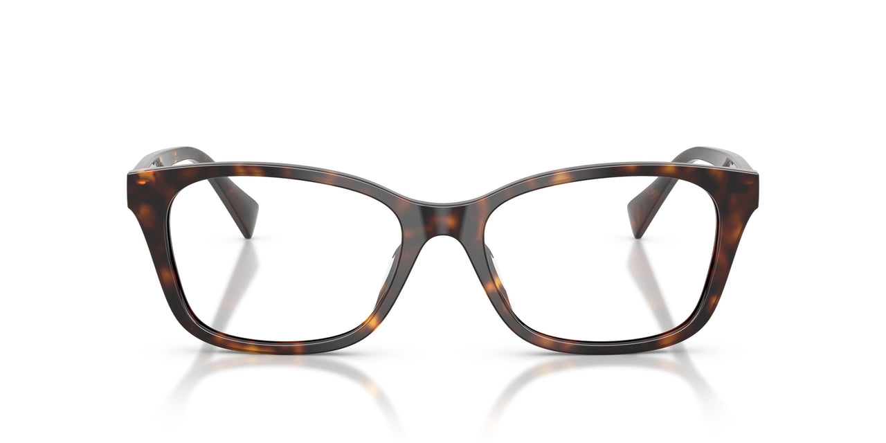 5003 - Tortoise