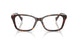5003 - Tortoise