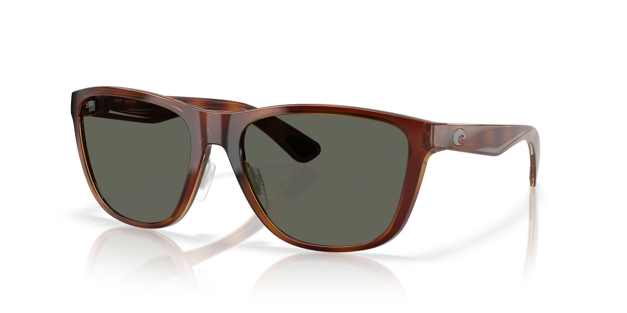 912406 - Tortoise - Gray