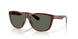 912406 - Tortoise - Gray