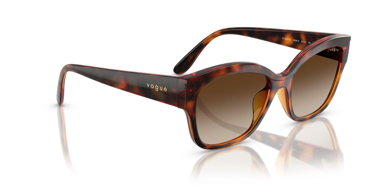 W65613 - Brown - Brown Gradient