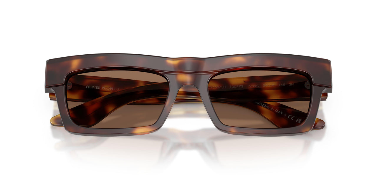 100773 - Tortoise - Brown