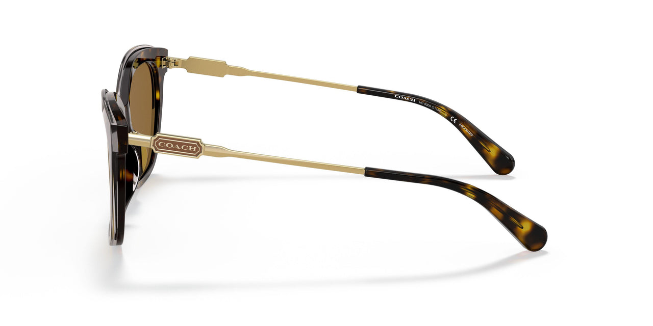 512083 - Havana - Brown Polar