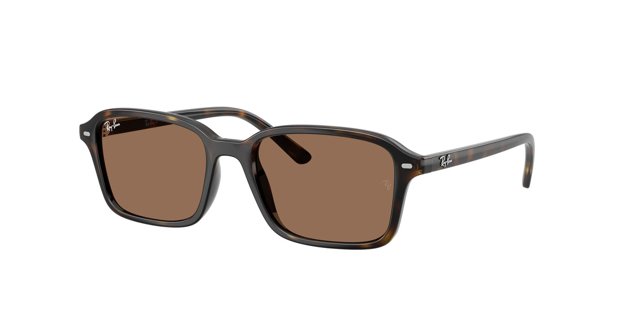 Ray-Ban Junior 9131S Sunglasses