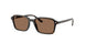 152/73 - Tortoise - Dark Brown