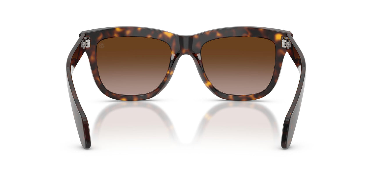 300213 - Tortoise - Gradient Brown