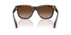 300213 - Tortoise - Gradient Brown