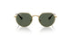 223/71 - Gold - Dark Green