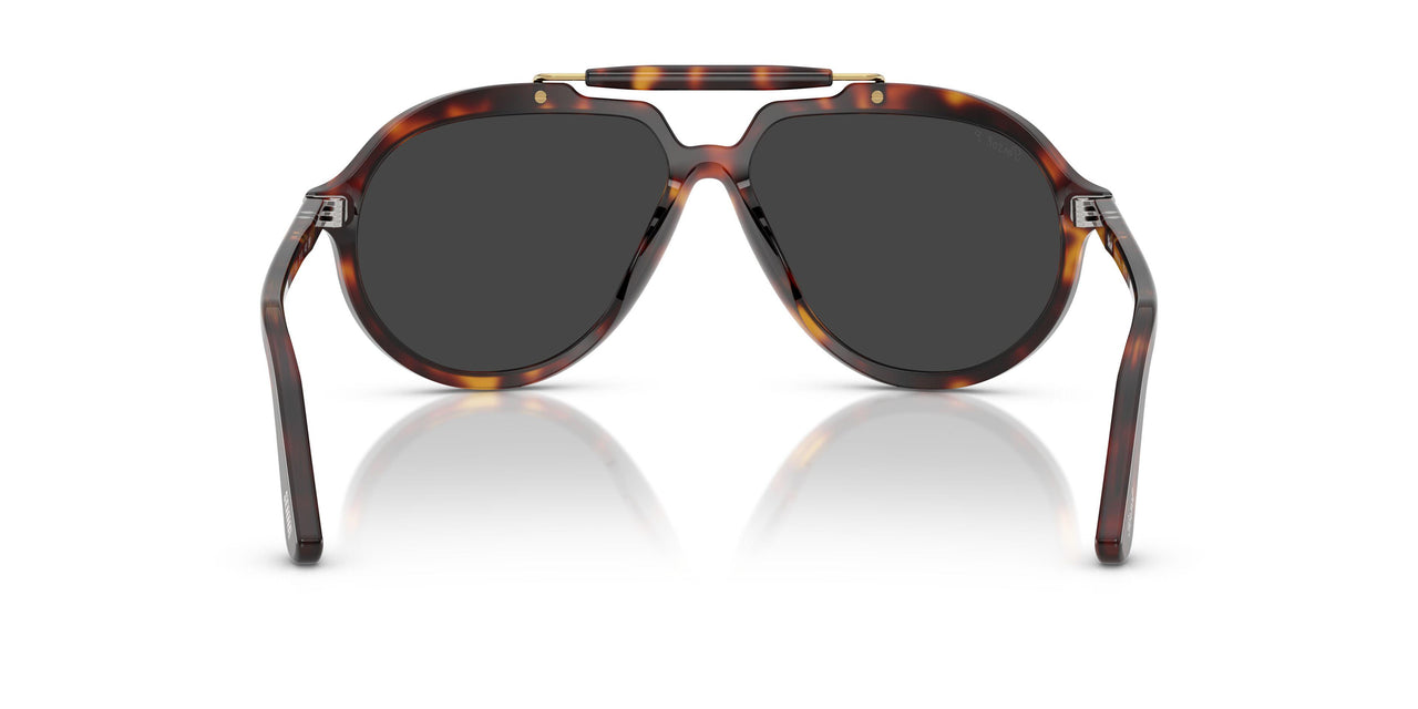 24/48 - Tortoise - Polar Black
