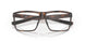 901602 - Tortoise