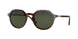 24/31 - Havana - Green
