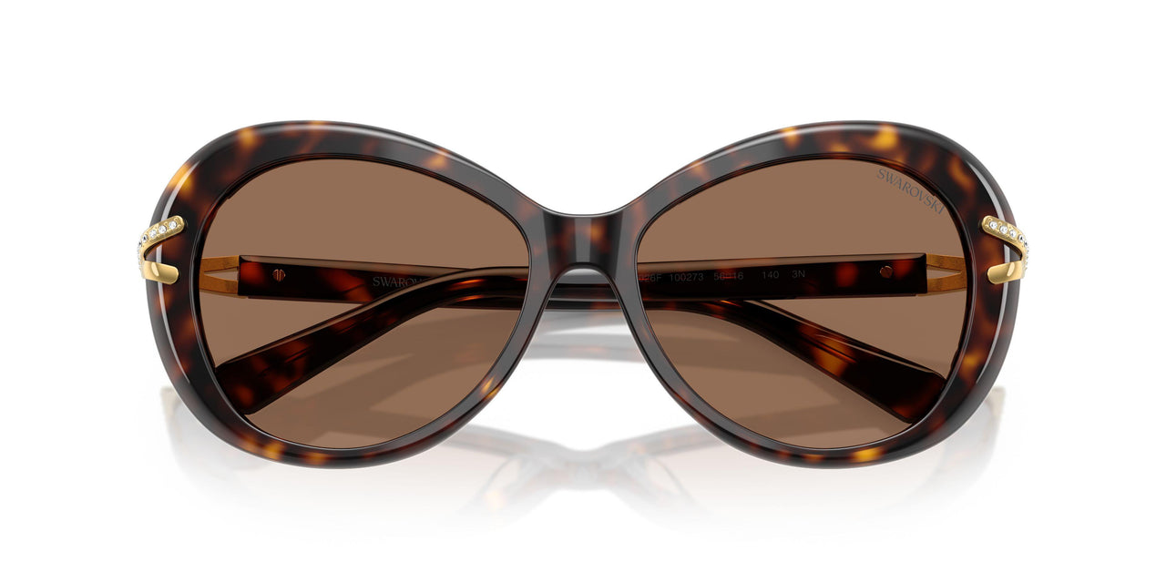 100273 - Tortoise - Dark Brown