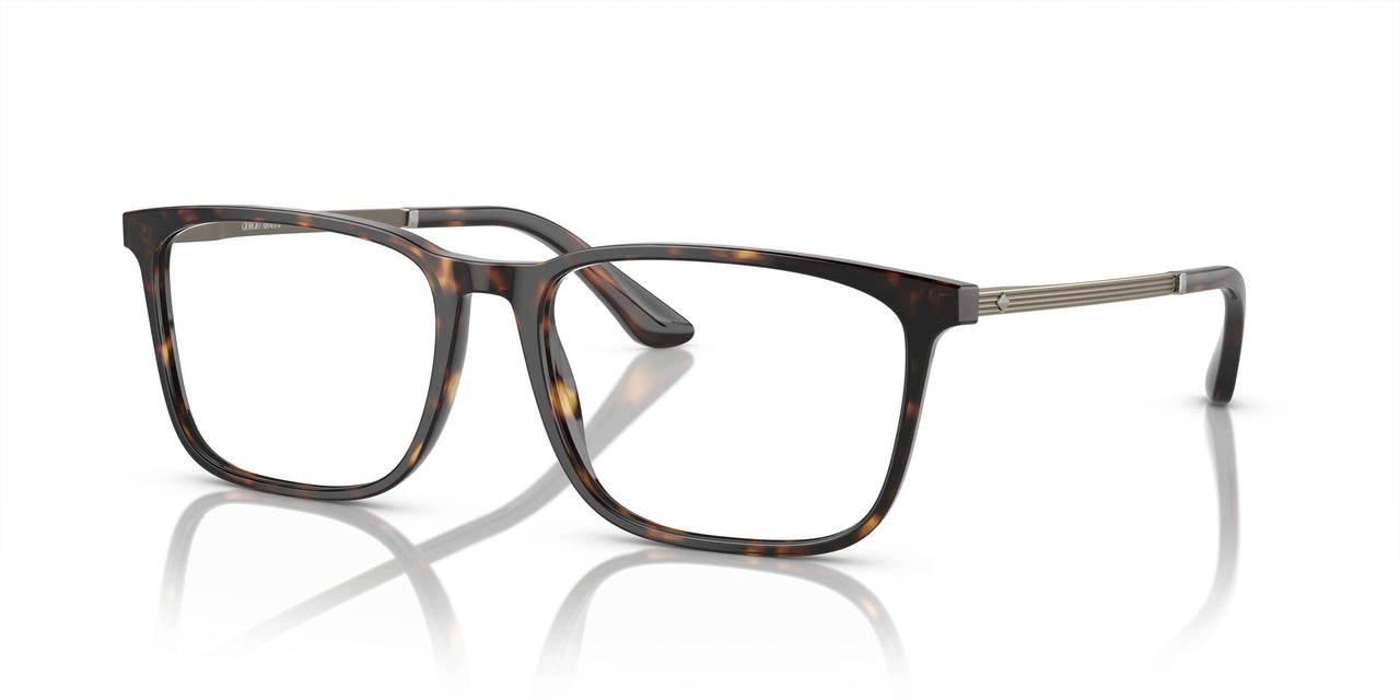 5026 - Tortoise