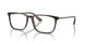 5026 - Tortoise