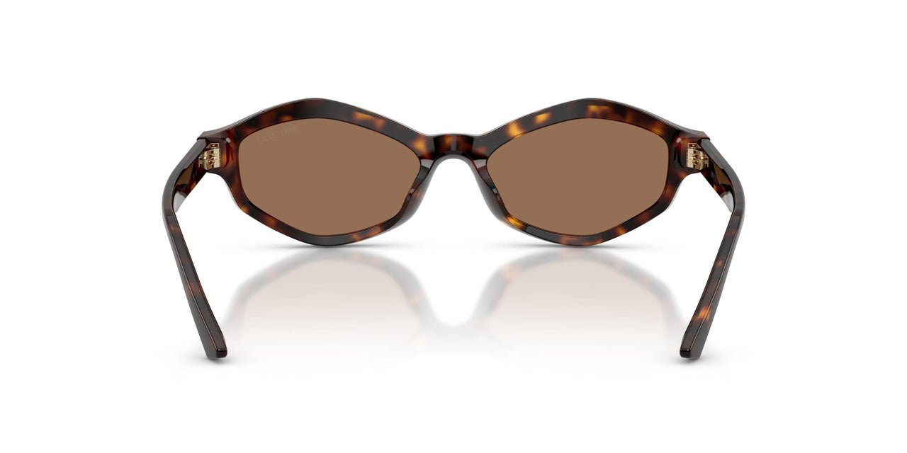 500273 - Tortoise - Dark Brown