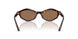 500273 - Tortoise - Dark Brown