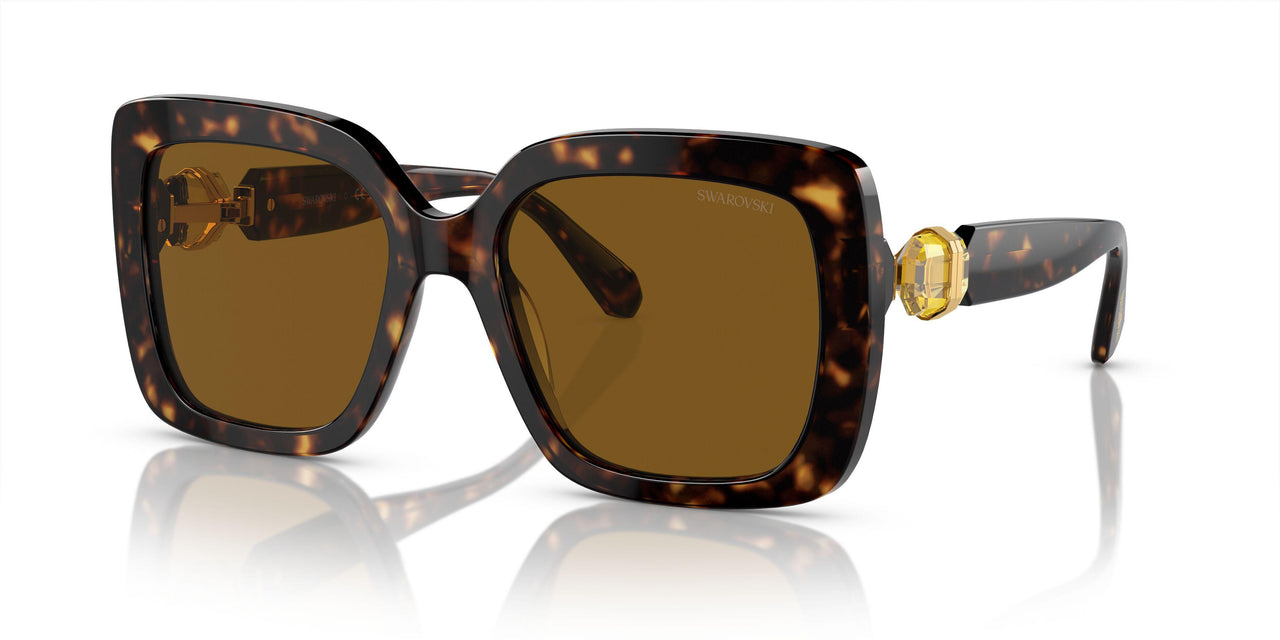 100283 - Tortoise - Polarized Brown