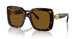100283 - Tortoise - Polarized Brown